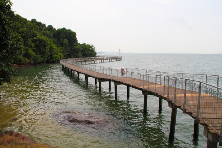 Chek Jawa Pulau Ubin Island