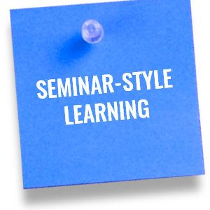 Seminar-style Learning