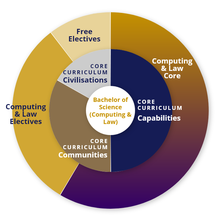 School of Computing and Information Systems Curriculum ...