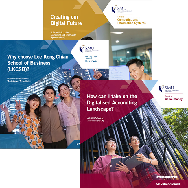 Undergraduate Programmes Brochure