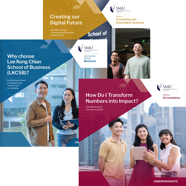 Undergraduate Programmes Brochure